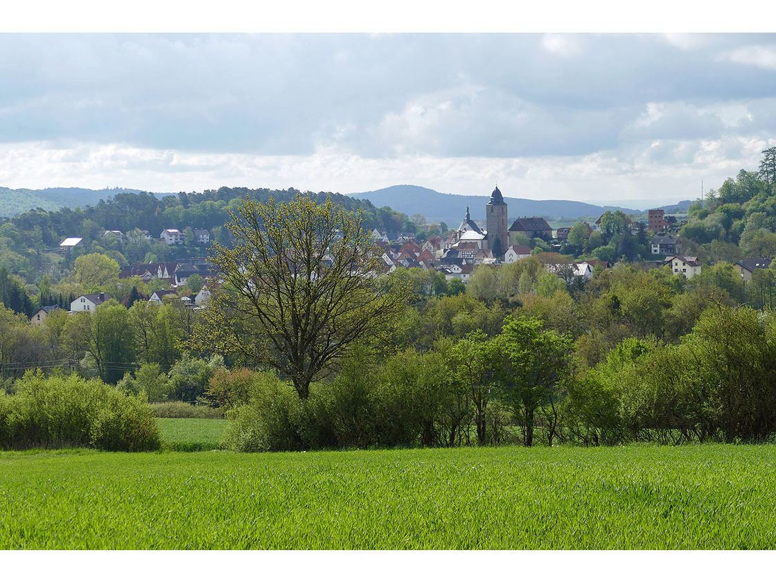 Bittprozession an der Weingartenkapelle (Foto: Karl-Franz Thiede)